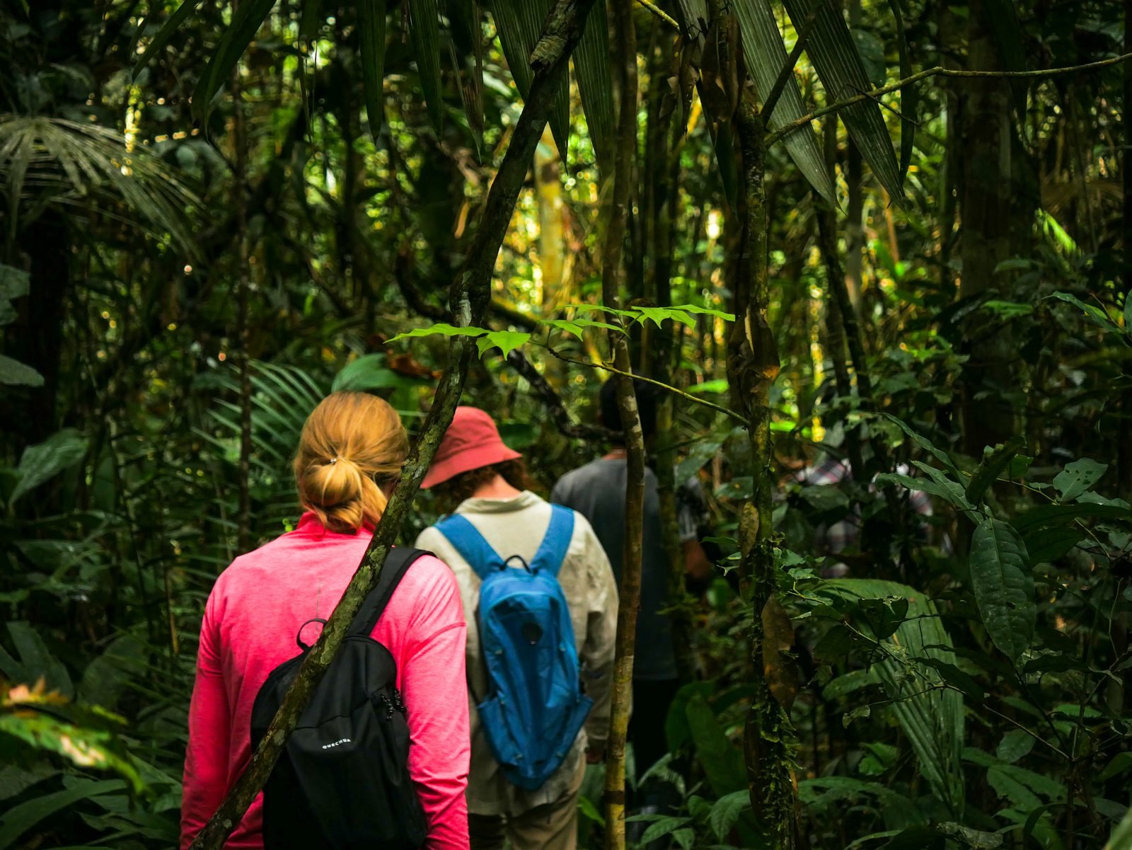 Travelers on an Amazon expedition