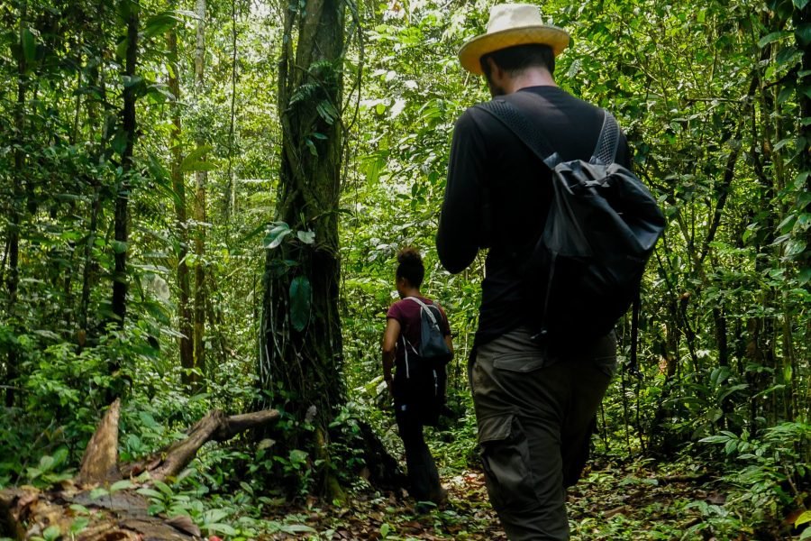 Eco-Tourism Immersions