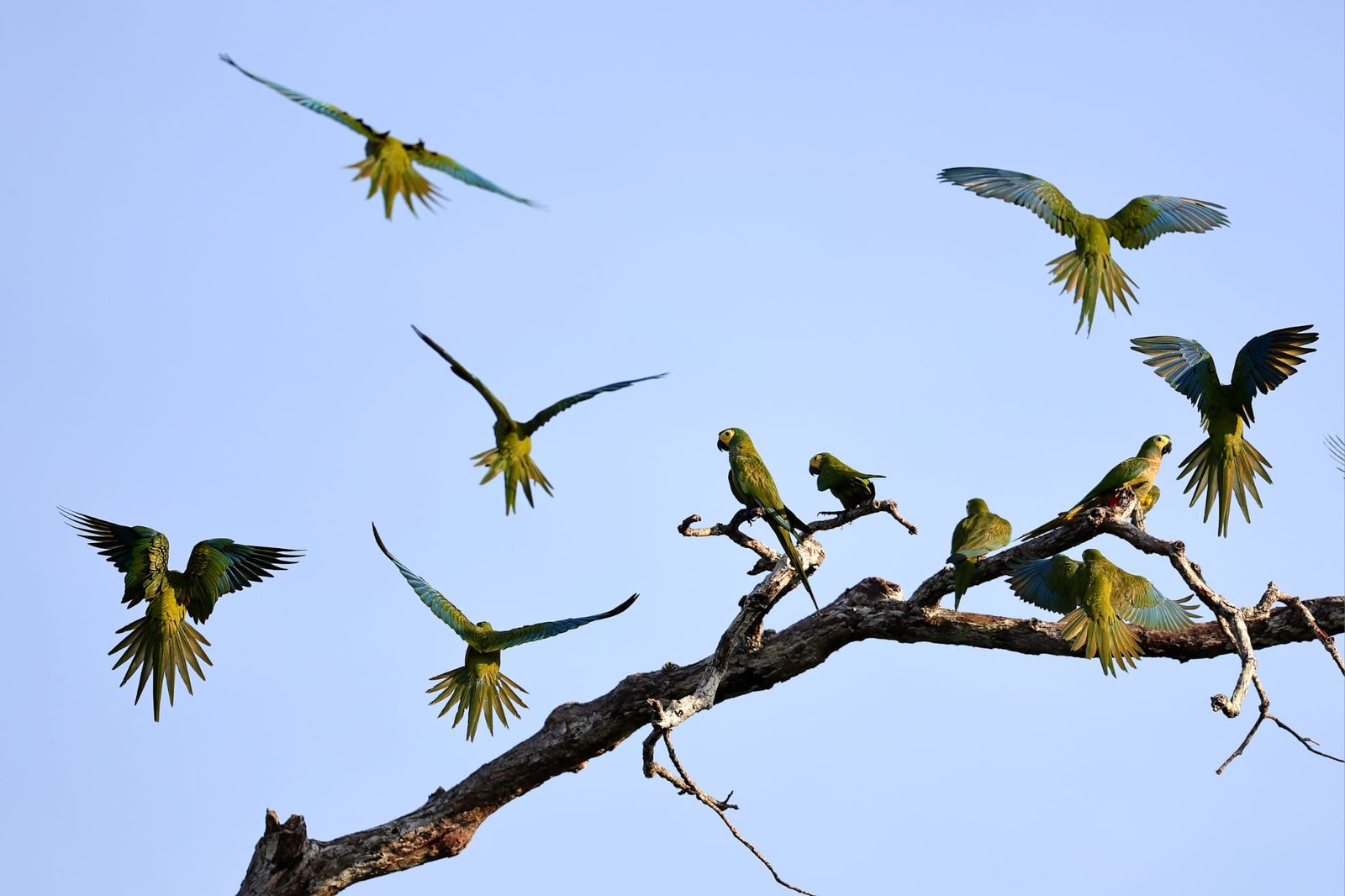Eco-tourism in the Ecuadorian Amazon