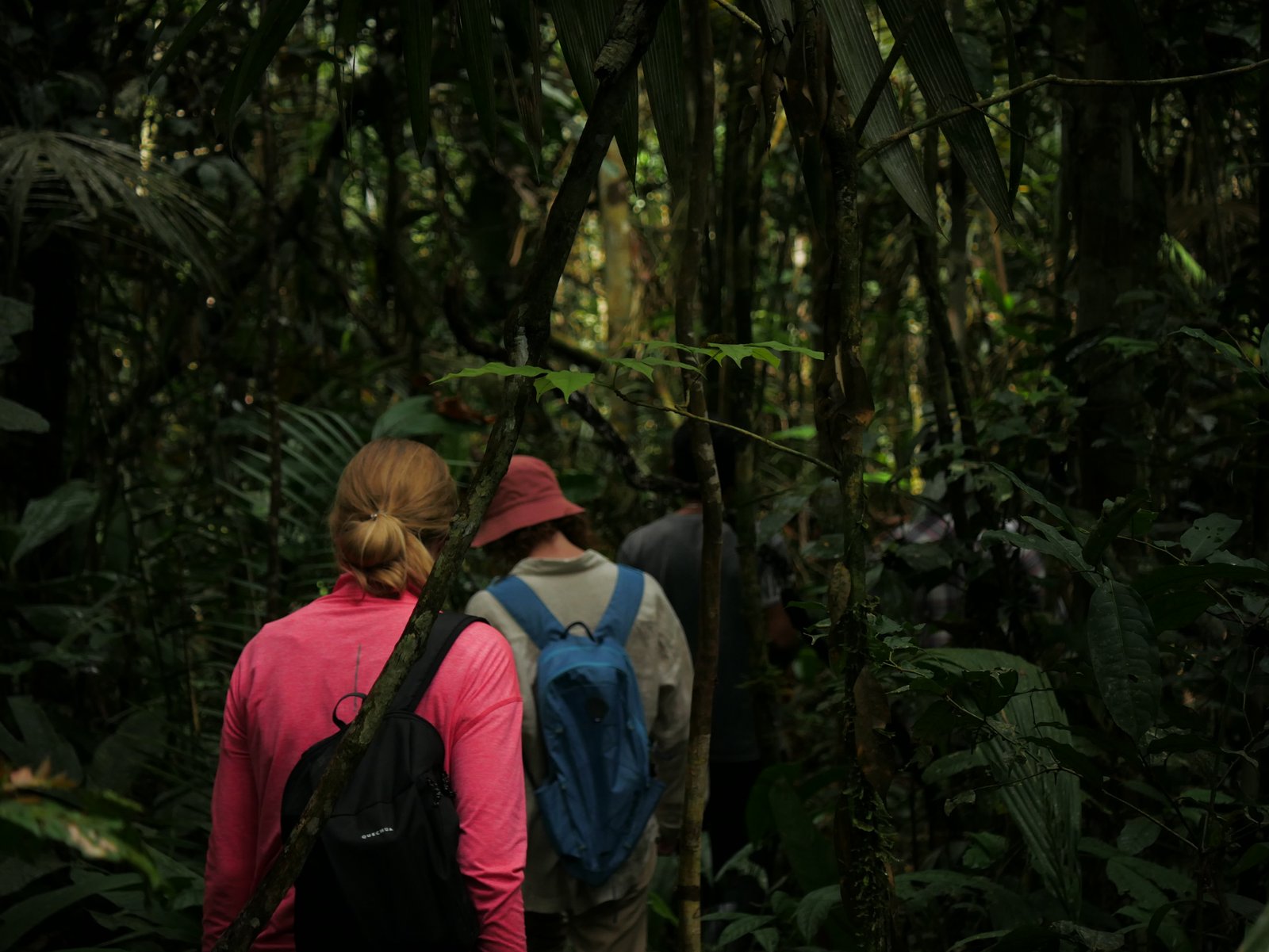 Into the Lush