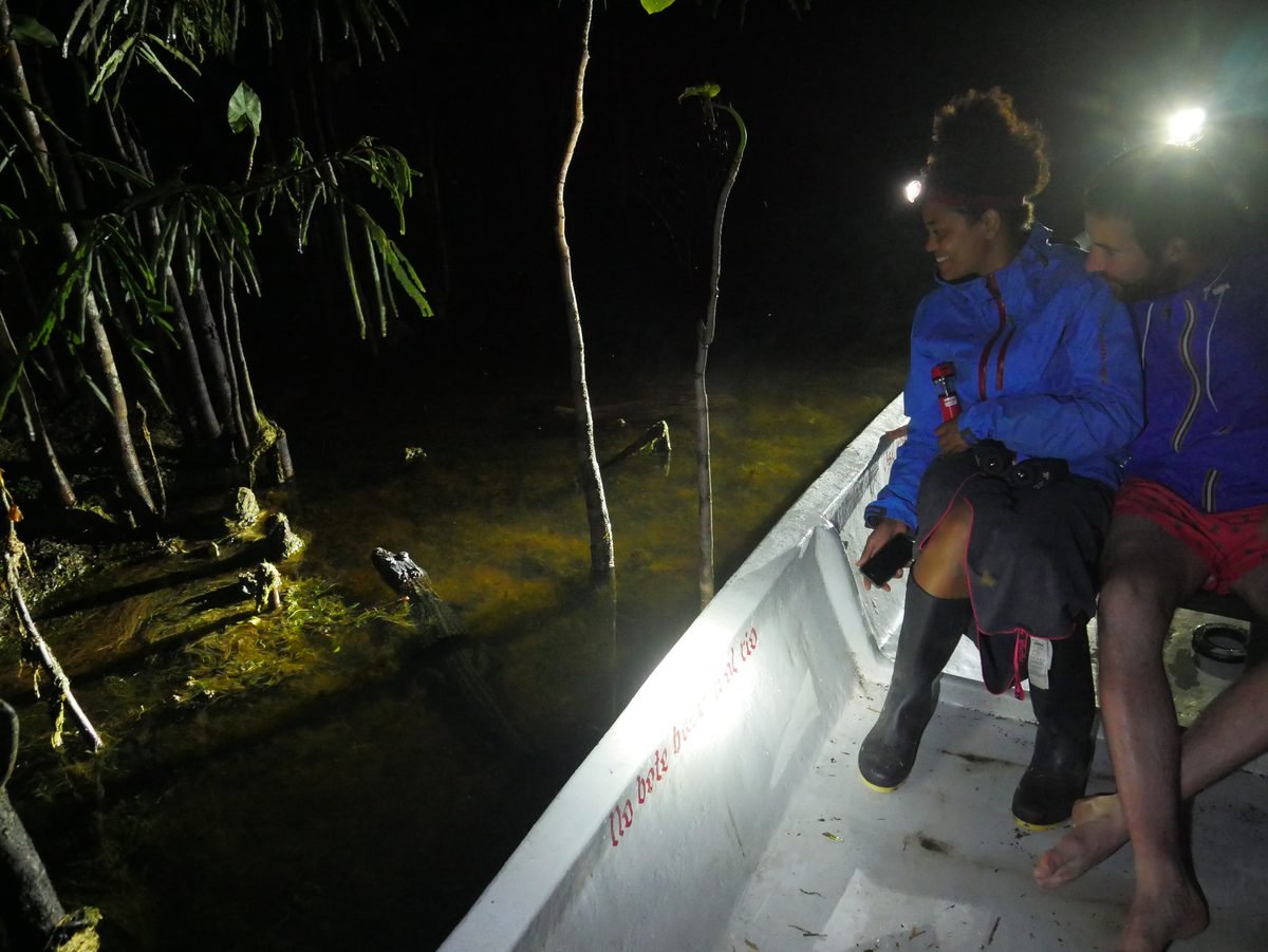 Night caiman spotting excursion