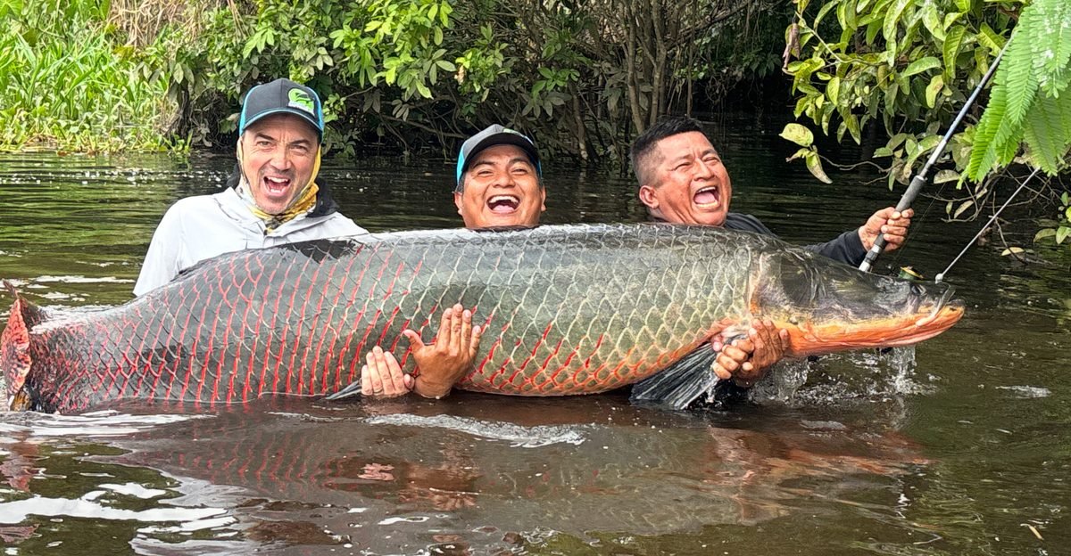 Trophy Arapaima catch