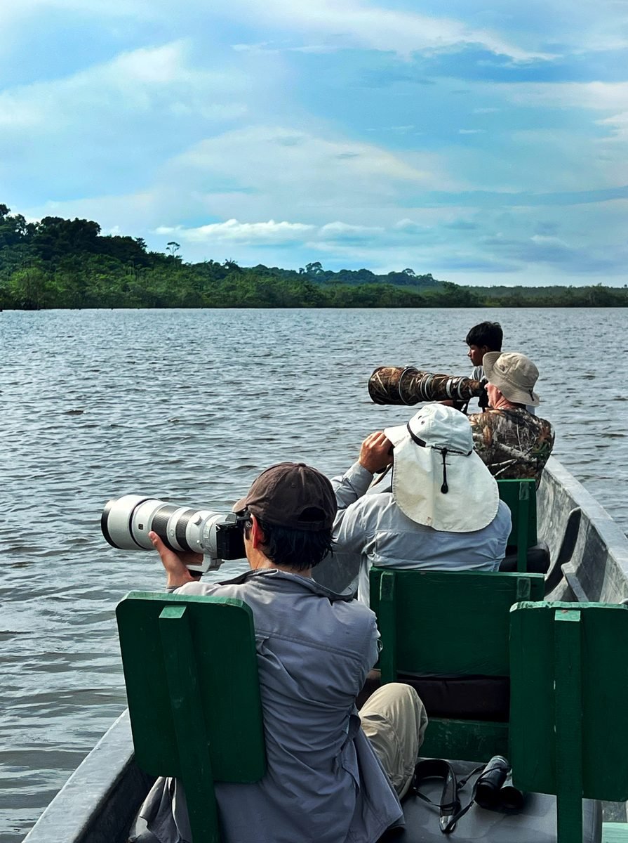 Wildlife photography excursion