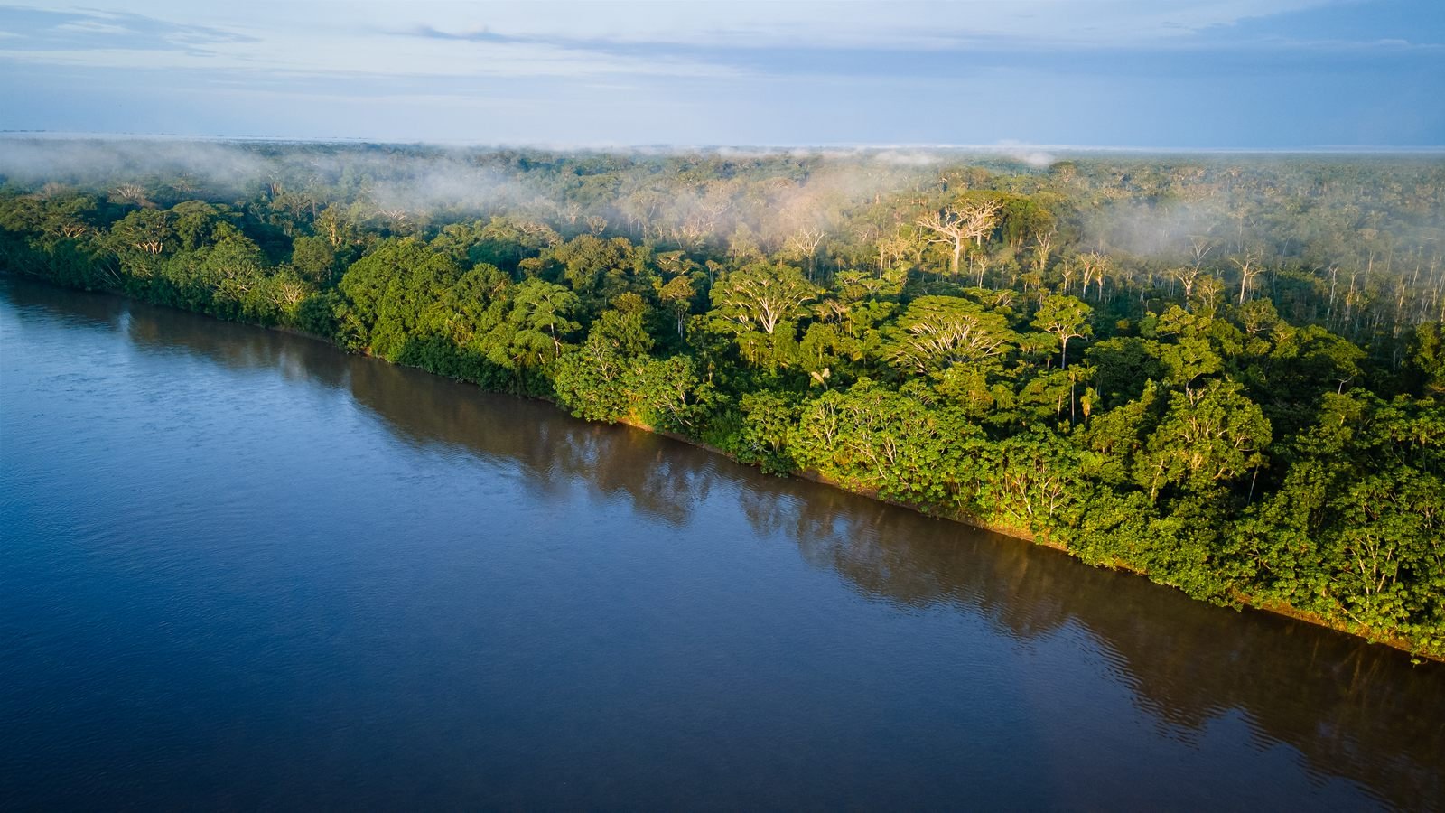 Dawn mist rising over the rainforest canopy