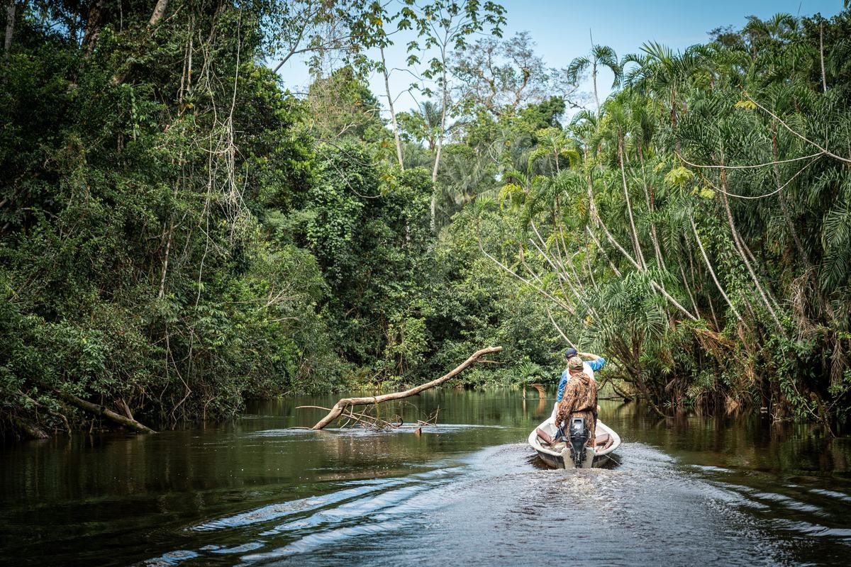 Guide steering a dugout up a narrow jungle creek