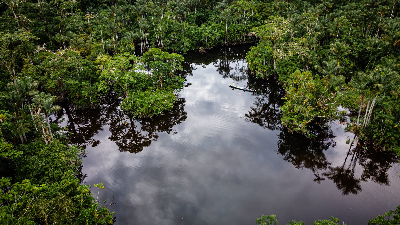 The Cuyabeno Wildlife Reserve at dawn, Ecuadorian Amazon