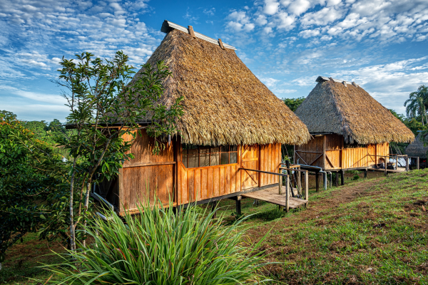 Wings of the Rainforest – Ornithology Tour