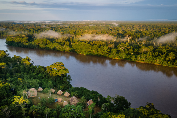 Wings of the Rainforest – Ornithology Tour